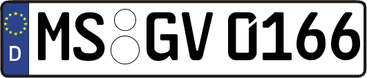 MS-GV0166