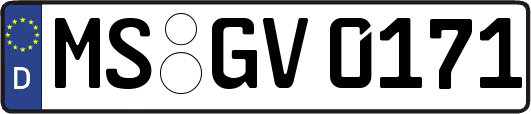 MS-GV0171