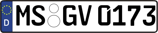MS-GV0173