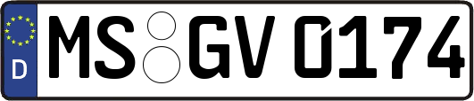 MS-GV0174