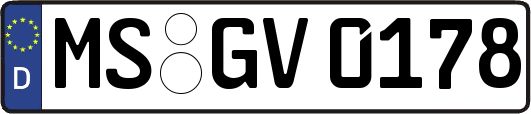 MS-GV0178