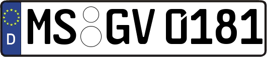 MS-GV0181