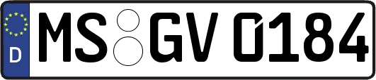 MS-GV0184
