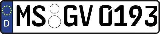 MS-GV0193