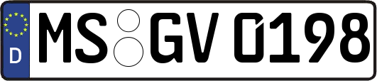 MS-GV0198
