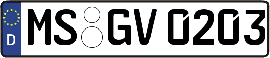 MS-GV0203