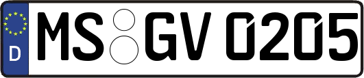 MS-GV0205