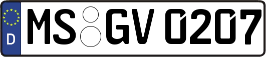 MS-GV0207
