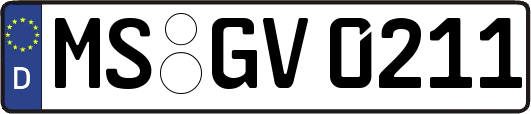 MS-GV0211