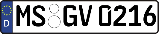 MS-GV0216