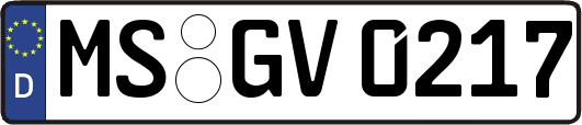 MS-GV0217