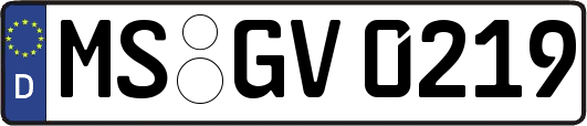 MS-GV0219