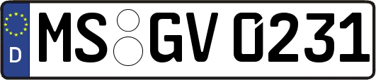 MS-GV0231