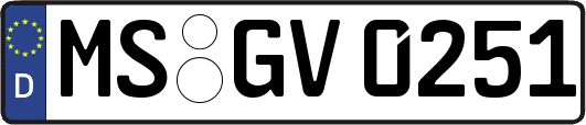 MS-GV0251