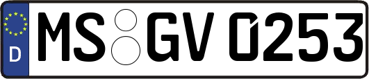 MS-GV0253