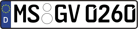 MS-GV0260