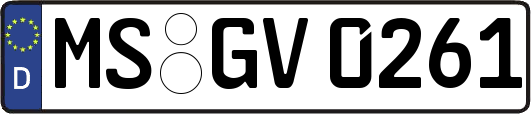 MS-GV0261