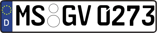 MS-GV0273
