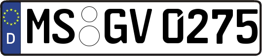 MS-GV0275