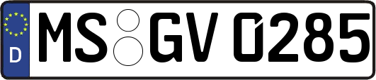 MS-GV0285