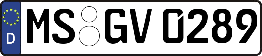 MS-GV0289