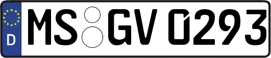 MS-GV0293