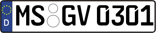MS-GV0301
