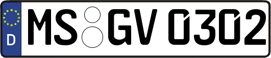 MS-GV0302