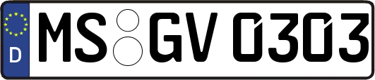 MS-GV0303