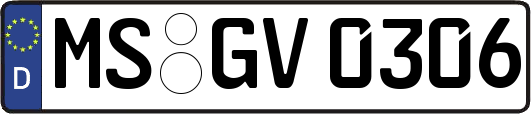 MS-GV0306