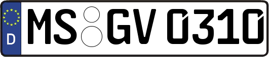 MS-GV0310