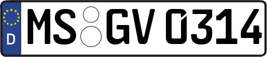 MS-GV0314