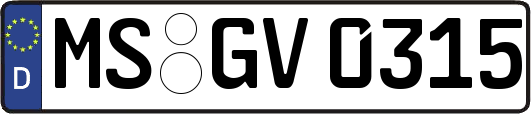 MS-GV0315