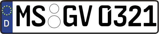 MS-GV0321