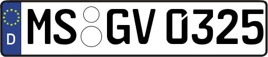 MS-GV0325