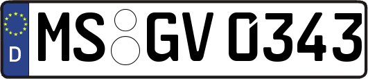 MS-GV0343