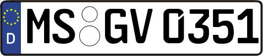 MS-GV0351