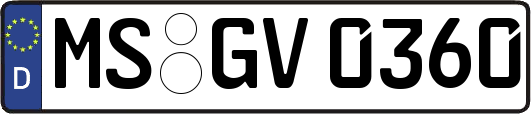 MS-GV0360