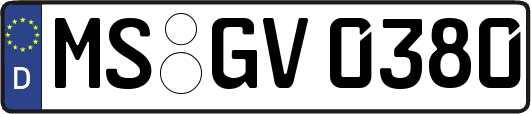 MS-GV0380