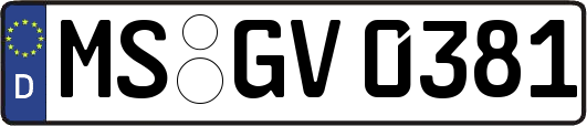 MS-GV0381