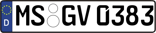 MS-GV0383