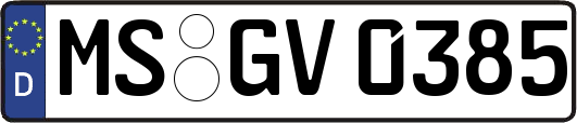 MS-GV0385