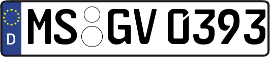 MS-GV0393
