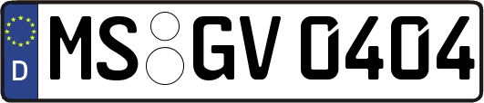 MS-GV0404