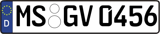 MS-GV0456