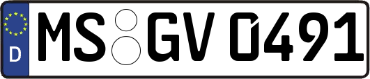 MS-GV0491