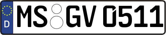 MS-GV0511