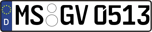 MS-GV0513