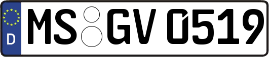 MS-GV0519