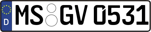 MS-GV0531